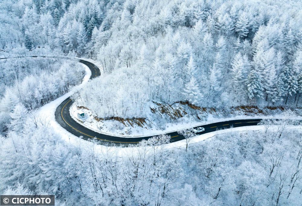 汪普林|你等的雪来了！