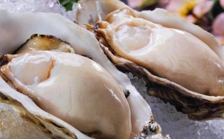 白露过后，如果不差钱，这5种海鲜给家人尝尝，肥美鲜嫩又营养