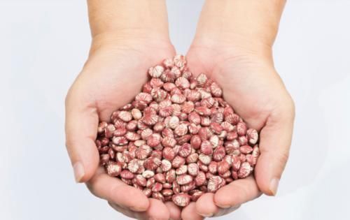 祛湿|想要祛湿,就要“健脾”,医生:常吃这“4样”,帮你远离脾虚