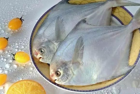 海鲜|渔民整理的海鲜大全,以后再也不怕不认识海鲜了