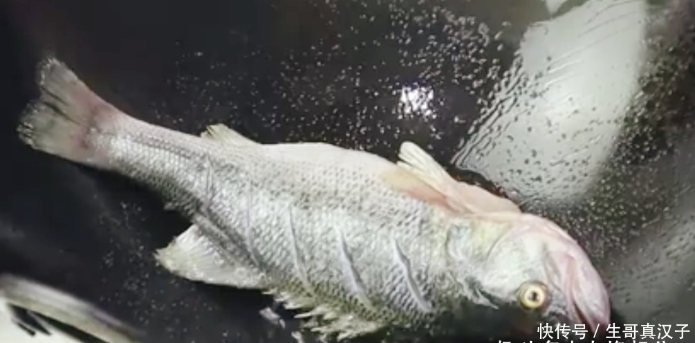 破皮|无论煎什么鱼,想要不破皮不粘锅,别直接下锅,教你一招