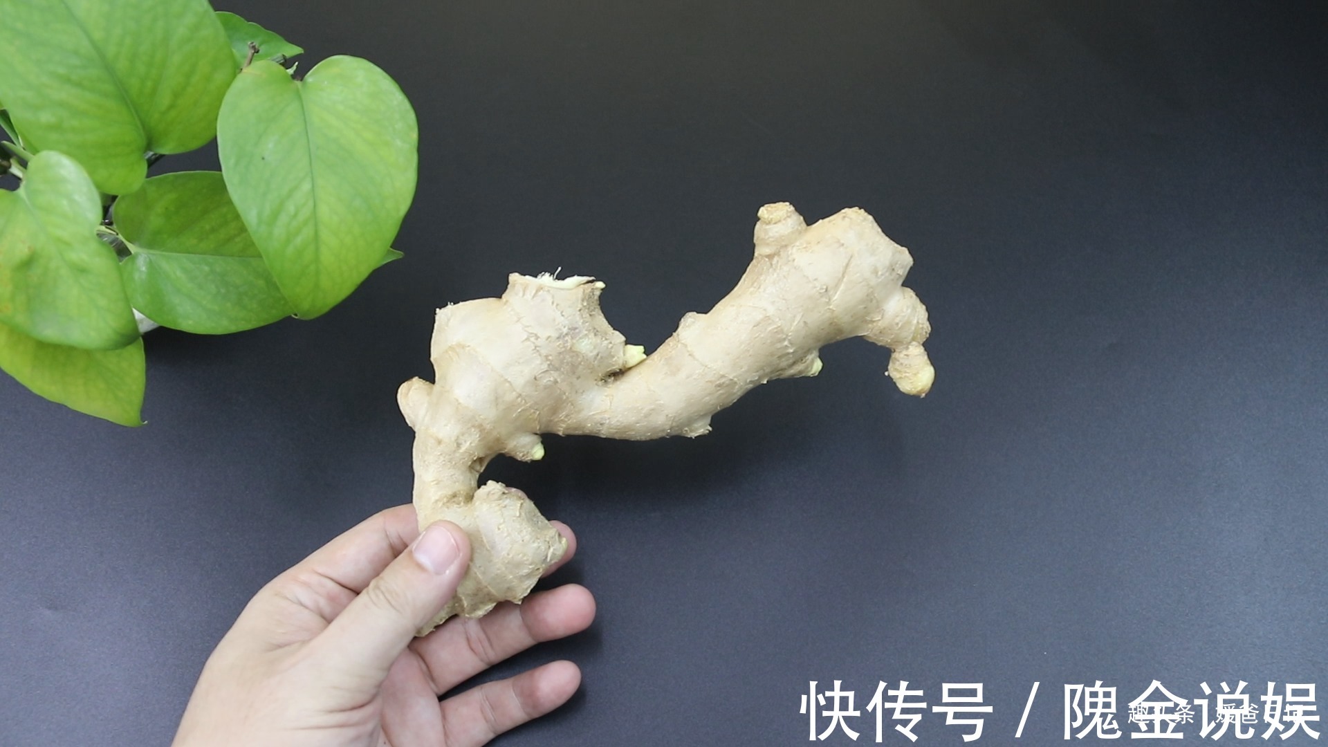 这样的生姜不能买，还好菜贩子告知，早知早受益