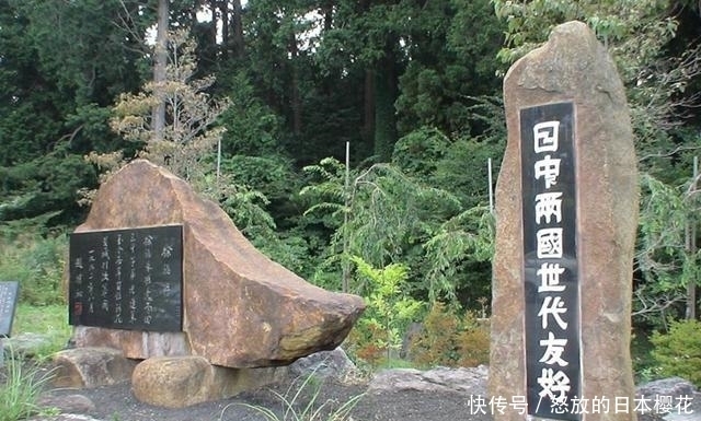 哈尼族|一系列研究后专家发现:日本人的血脉之源,出现在中国的各个地区