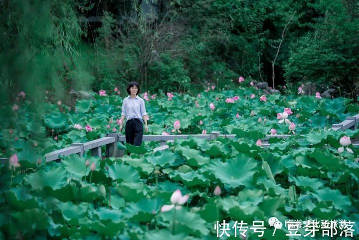 临海|再见，临海夏天！