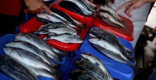 买鱼时，遇到这3种鱼扭头就走，重金属含量高，没营养还浪费钱！