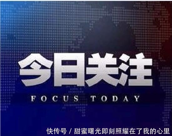 老年|太美了!走,去咸阳三原清浴河看天鹅