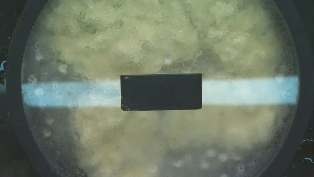 花椒的芽也能吃，不但美味，還有三大好處