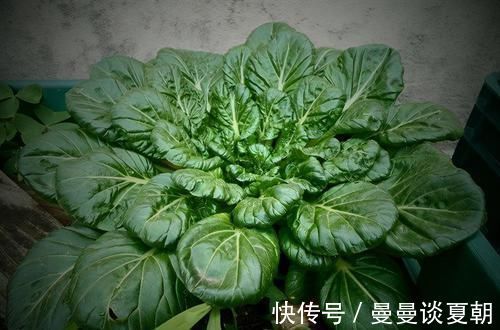 好吃|人到中年想长寿,多吃三种食物,营养丰富、延缓衰老,好吃又不贵