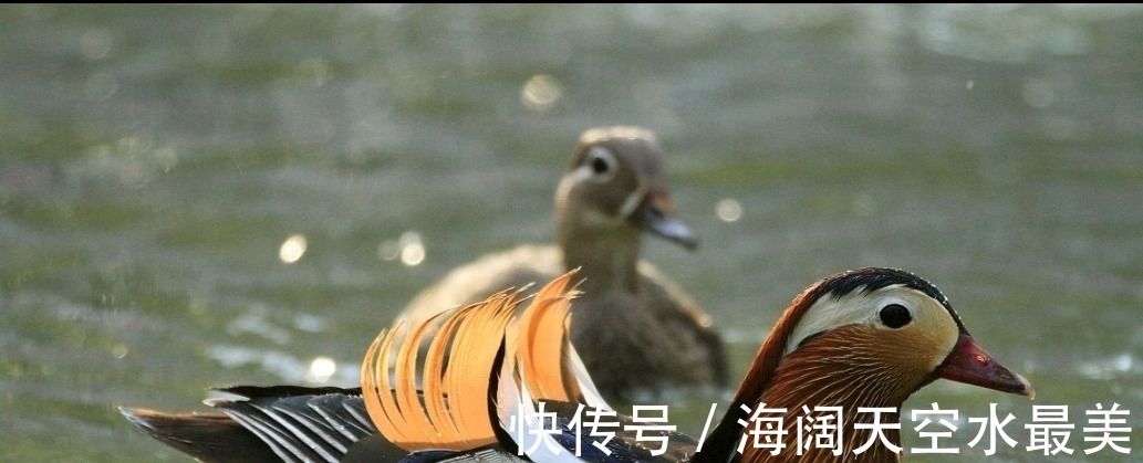 生活中你不知道的十大冷知识