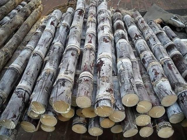 寒凉性|养肝先管住嘴,“三甜”伤肝,别多吃,“二苦”养肝,要多吃