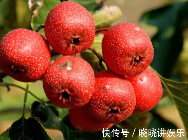 减肥|90岁老中医睡前山楂泡“它”喝1杯,隔天拉出3斤黑臭宿便