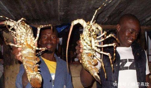 非洲人拿龙虾当小吃,连吃3份后,扔下100元就走,却被老板叫住!