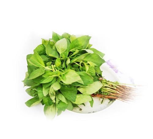 药对|无论风热感冒风寒感冒，一个2味药的经典“药对”，屡用屡效！