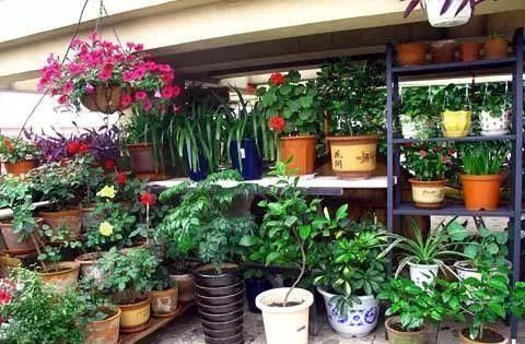 老公不顾反对买二楼的房子,完工后多出一个小花园,邻居都羡慕