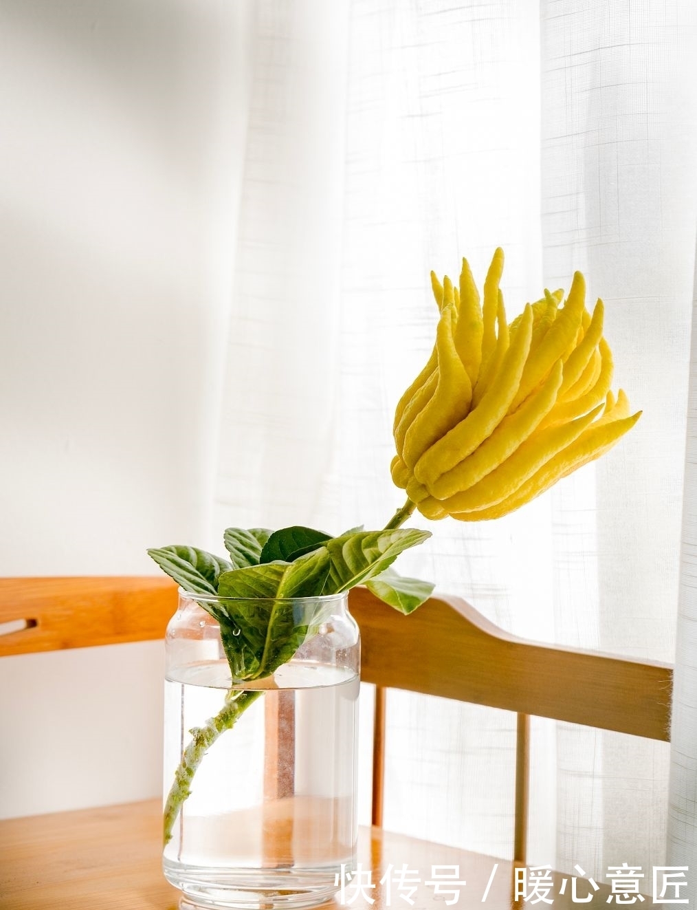 搞定|秋季多咳就吃它!一切一泡就搞定,全家都爱