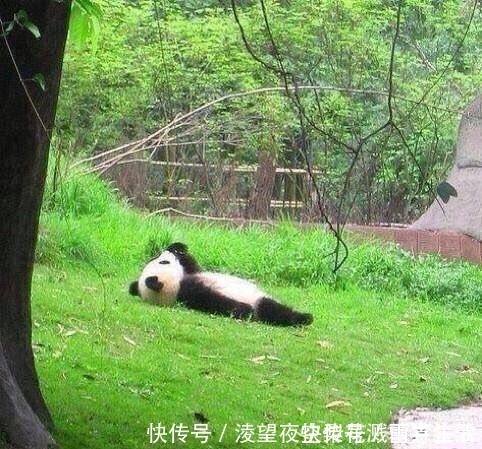 ev小长假不看点沙雕图怎么过!这世上竟有如此沙雕的手办!