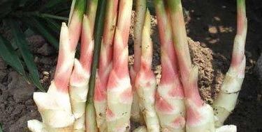 养颜|每天晚上坚持吃四种食物,美容养颜、延缓衰老,有益健康