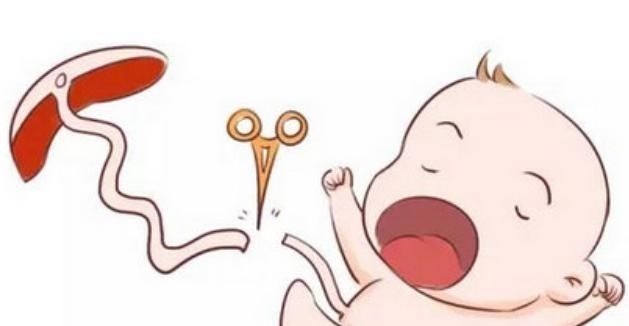 宝宝们|宝宝出生后的10几分钟里,都在做些什么原来他比妈妈还忙