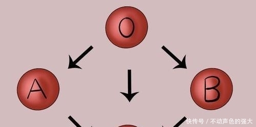 不同血型的人怎么吃健康？O型血多吃肉，A型血要吃素，来了解下