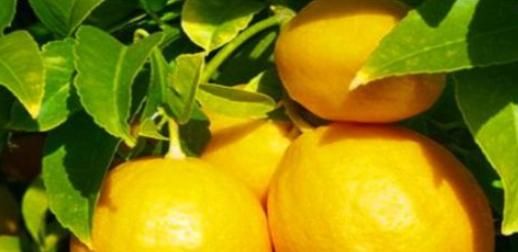 爱自己的女性，会常吃4种食物，排毒护肤，防子宫早衰！早知早好