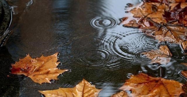 白云苍狗&李煜最精致的一首词,字字清新,道尽人生幻灭,凄艳千古