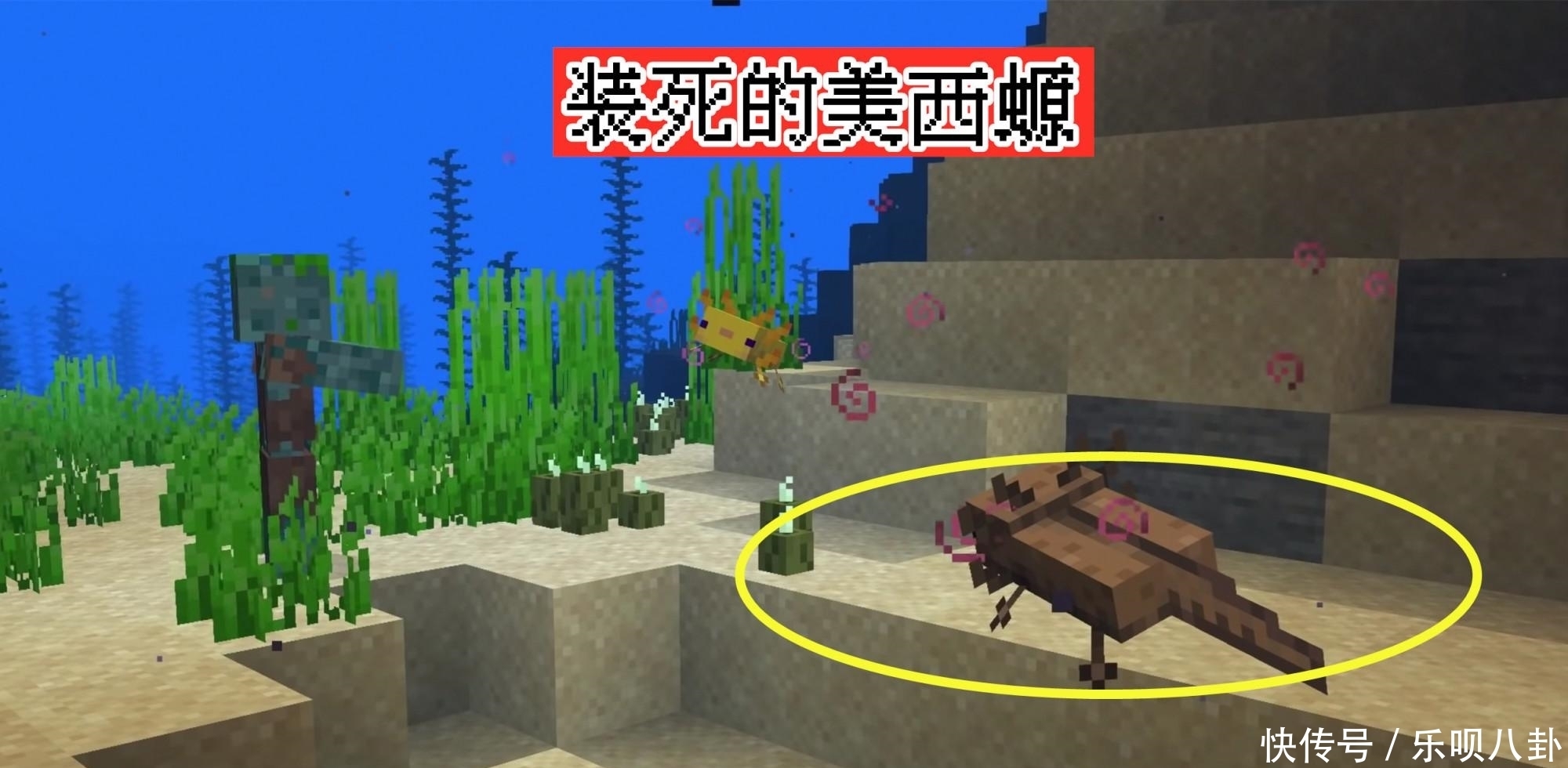 山羊角 1 17新生物篇 Minecraft 蝾螈 山羊 发光鱿鱼有什么巨大作用 游戏