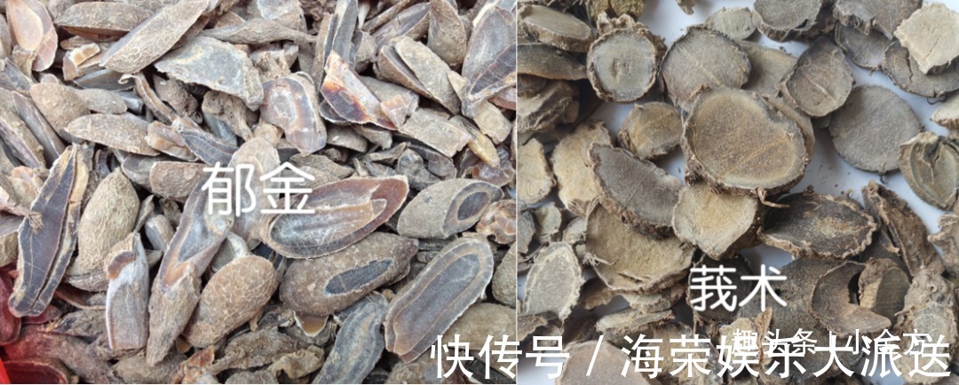 血管|中药材“郁金”打通血管里的瘀和堵,是金子总会发光!