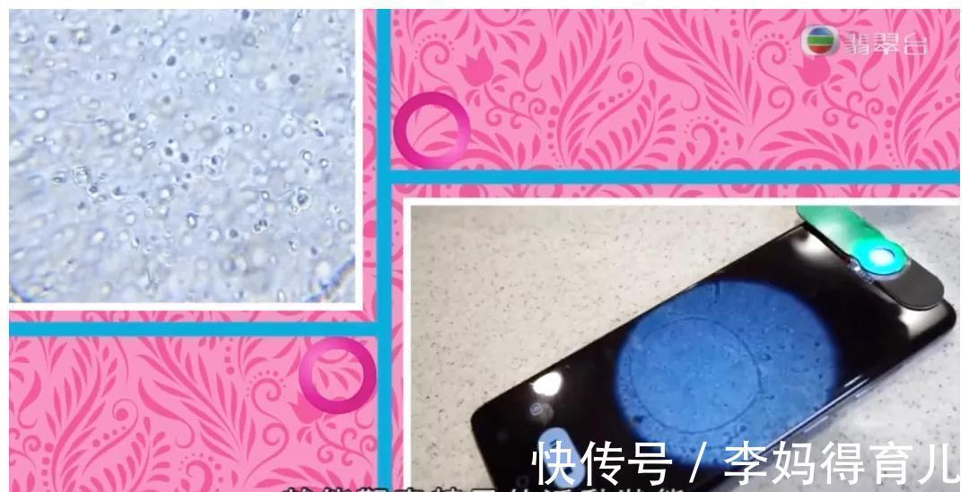 怀孕|她越大胆，我越想为她叫好