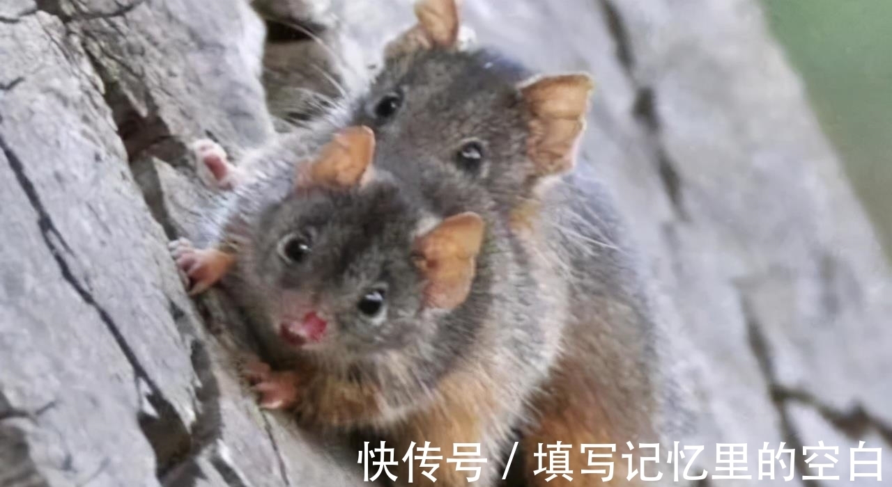 b盘点8条超级有趣的冷知识，你知道多少呢？