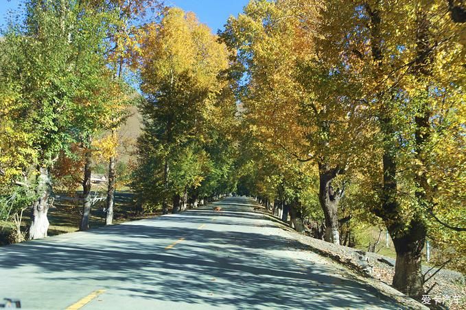 老年|最后的香格里拉-稻城亚丁之旅