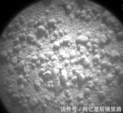 动物群 火星上发现大堆“动物群”?离近一看,原来是它!