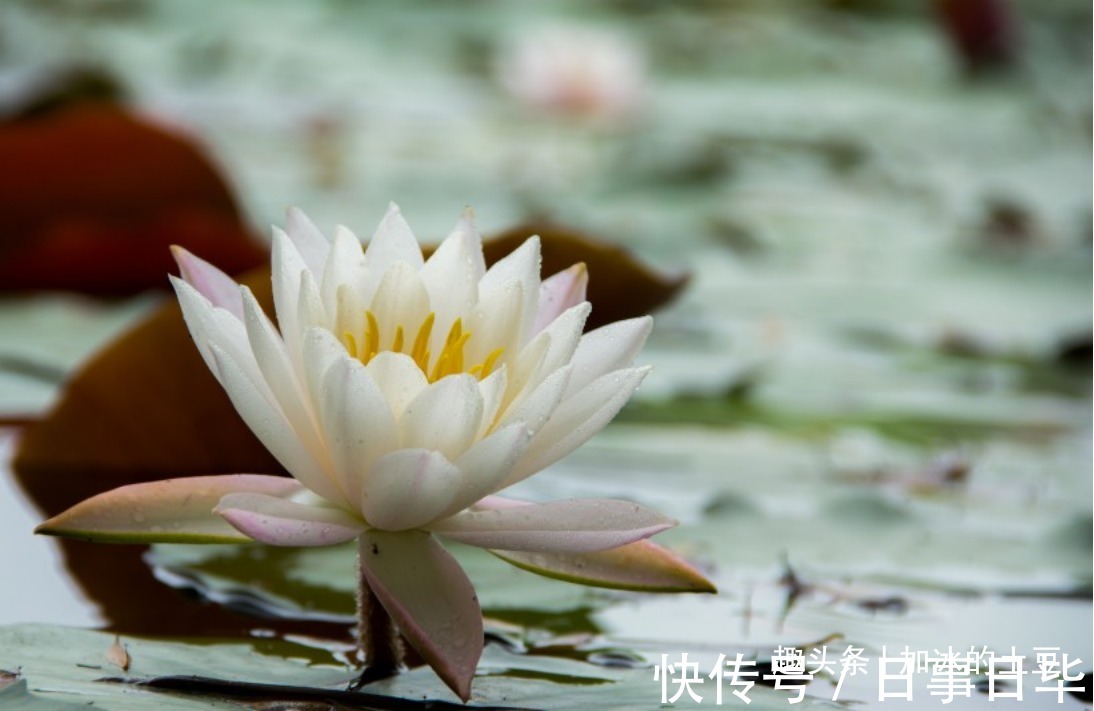 天秤座|不爱就是不爱了，没有复合的机会的星座