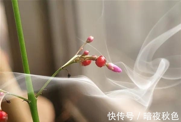 相思&无一是你，无一不是你，诗词里的相思，唯美而深情