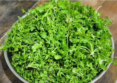 女性想要身体好，春天常吃的食物，抗菌消炎、增进消化、气色好