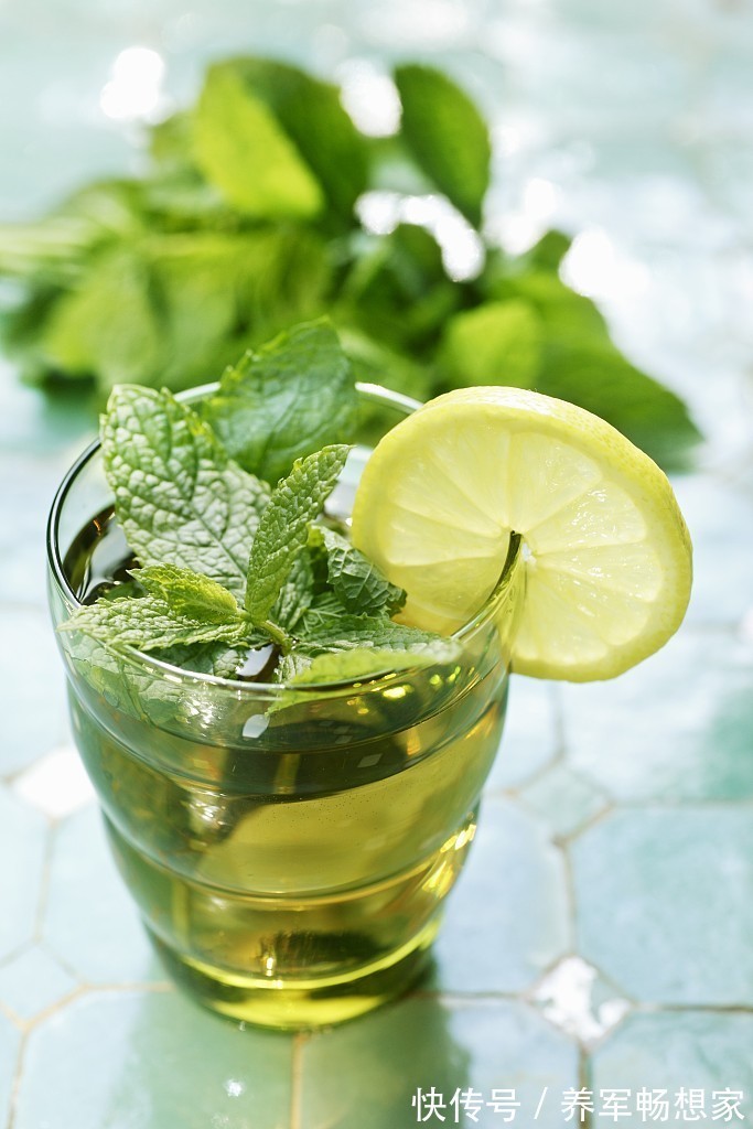 辛凉性|薄荷竟然能疏肝理气健胃消食,还有很多功效你都不知道,快收藏