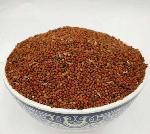 这种童年记忆中的果子,烂在树上无人问津,却有意想不到神奇功效