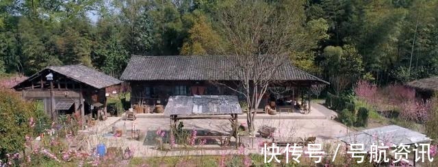 宠物|向往的生活嘉宾们惬意干净的农村生活,还有你没看到的另一面