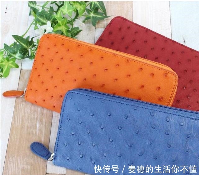 吃鸵鸟肉的人不多,为啥还那么多人养原来还有这些用途