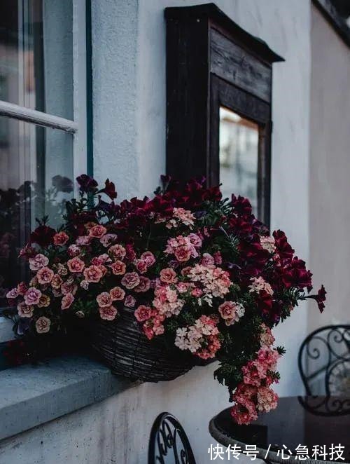 陆游&15首最美宋词情诗余生只愿与君度,情深不负共白头