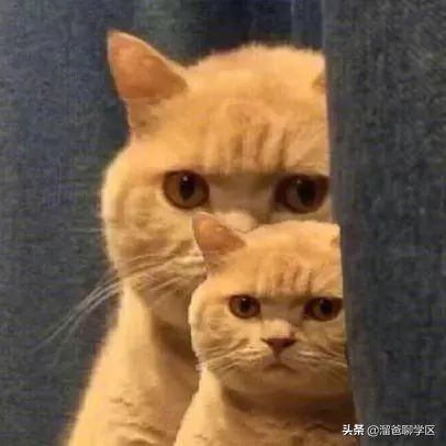 公卫|生三胎，要买什么户型？
