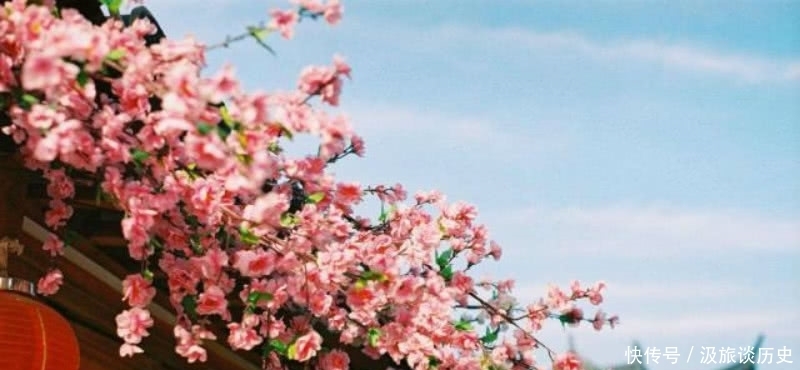 选入课本最多的一首宋诗,其中有一句脍炙人口,但意思却又扭曲了