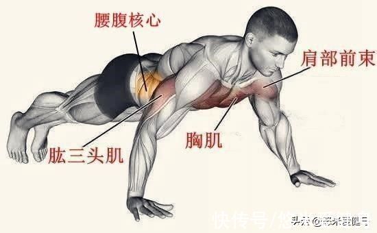 训练|普通人一次做40个俯卧撑，属于什么训练水平？