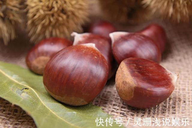 栗子|它是秋天的“千果之王”!生吃补肾、熟吃健脾,做菜煲汤放几颗,男女老少都受补