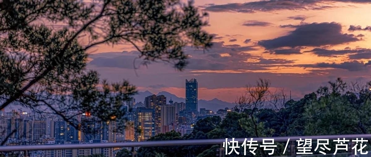 智商|心理学家:出现这3个迹象,说明你正在培养一个高智商的孩子