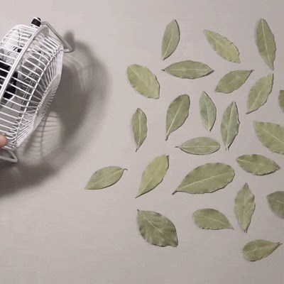 真假|一组非常逼真的3D画,让人真假分不清,你能找出哪一个是假的吗