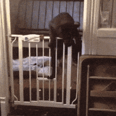 |搞笑段子王:不知道是不是亲生的,熊孩子坑爹坑妈没商量