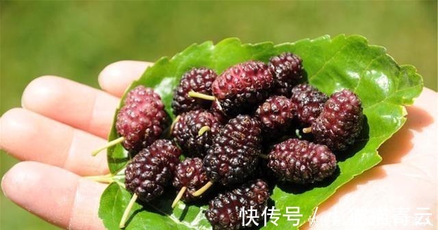 延缓衰老|衰老“慢”的男性,可能有四个“共同爱好”,若你如此,祝贺