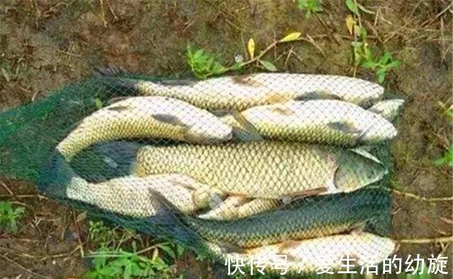 用玉米粒守钓大货,这几种调漂方法比较实用,中鱼率都很理想