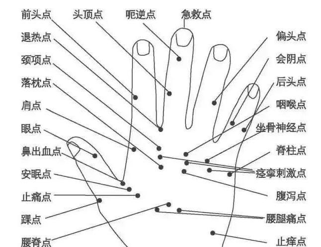  免费|40个常见病穴位按摩大全，免费送给你，百万人收藏