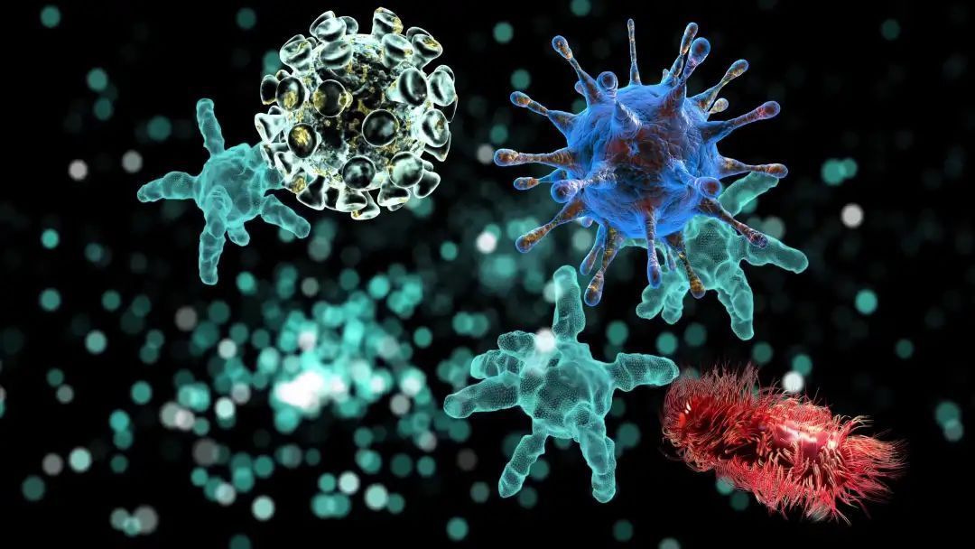 服用药物|如何阻止慢性肾炎复发?医生:别担心,做好这几点或能有效预防